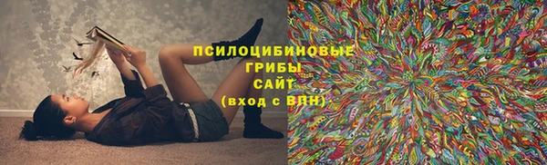 а пвп мука Кодинск