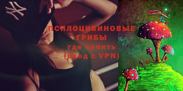 а пвп мука Кодинск