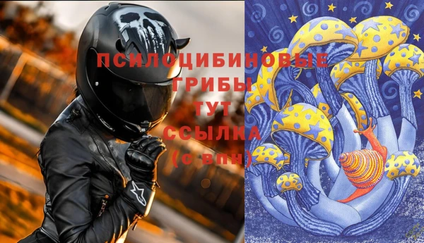 а пвп мука Кодинск