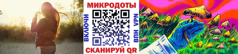 Псилоцибиновые грибы Cubensis  Северобайкальск 